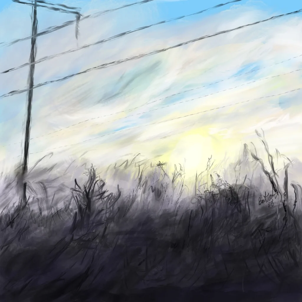 Foggy Pole Line