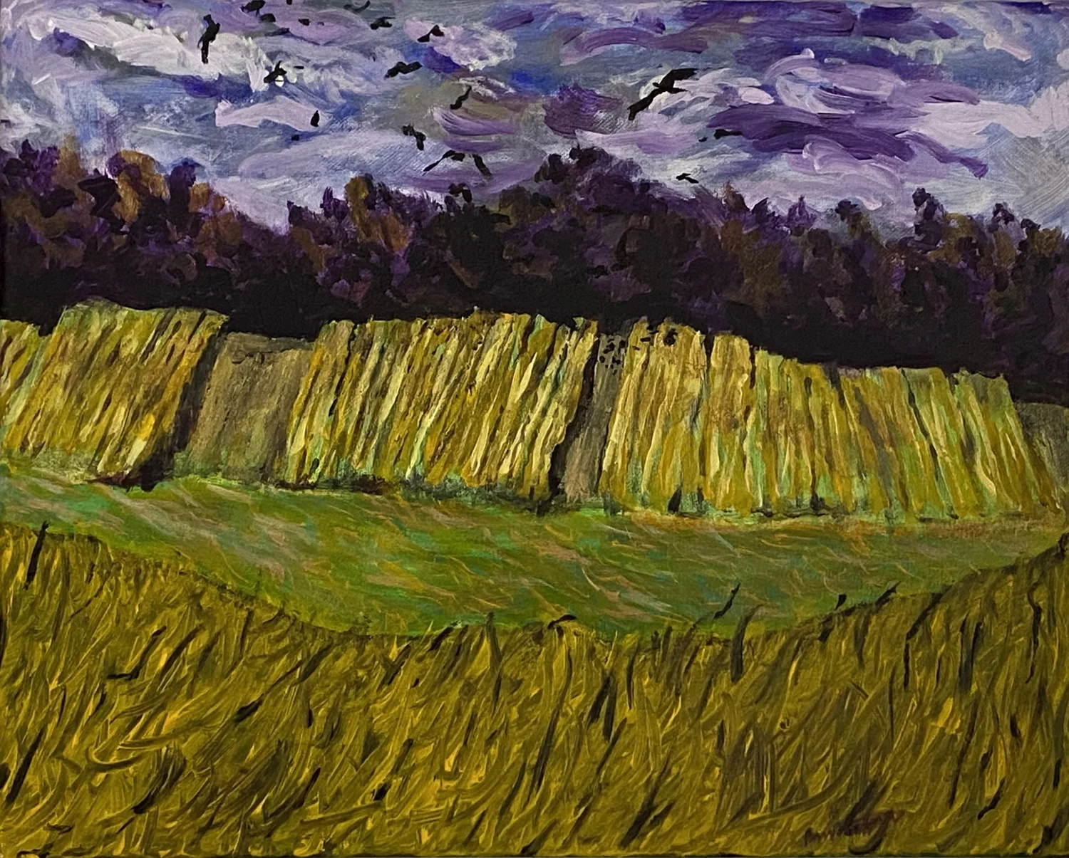 Cornfield Crows