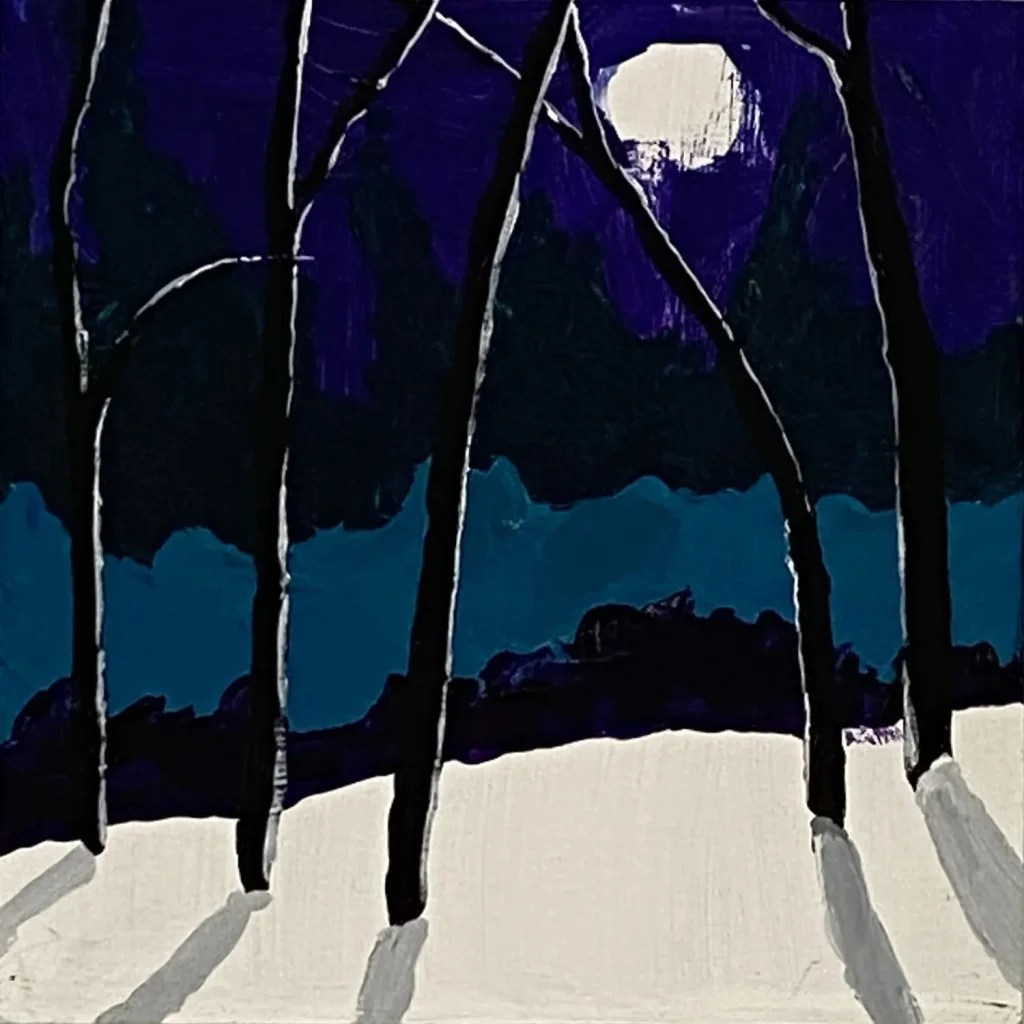 Winter Moon Shadows